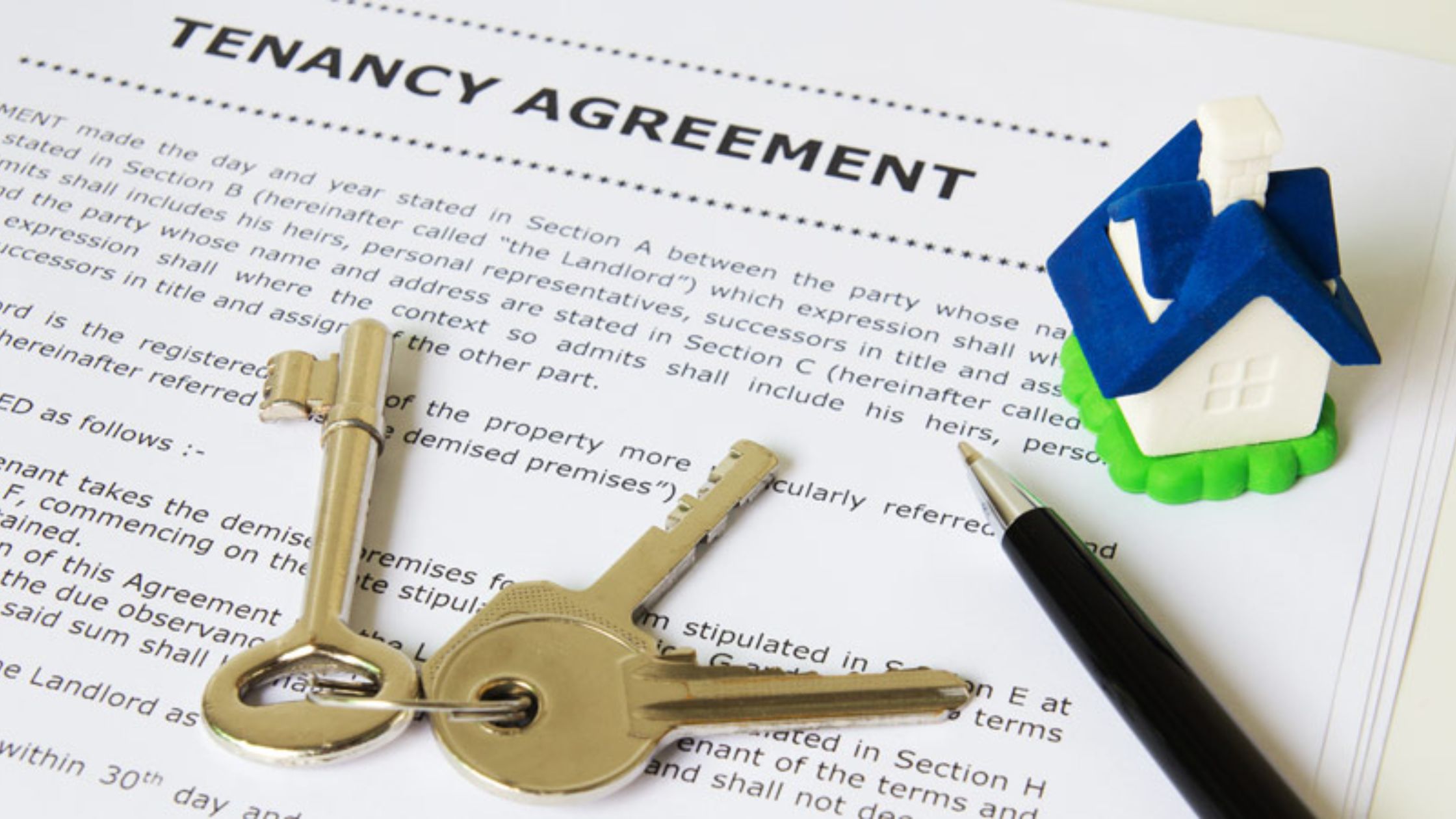  Tenant Rights and Legal Procedures